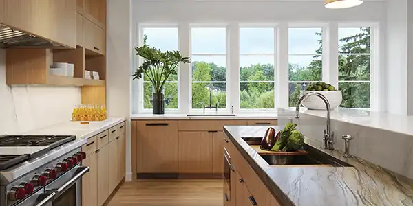Fiberglass Clad Wood Windows