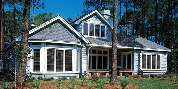 Bay Windows