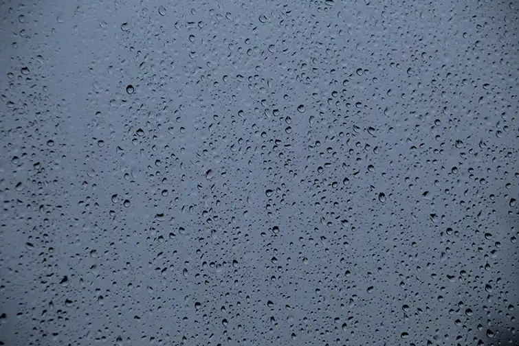 davis-consumer-foggy-window