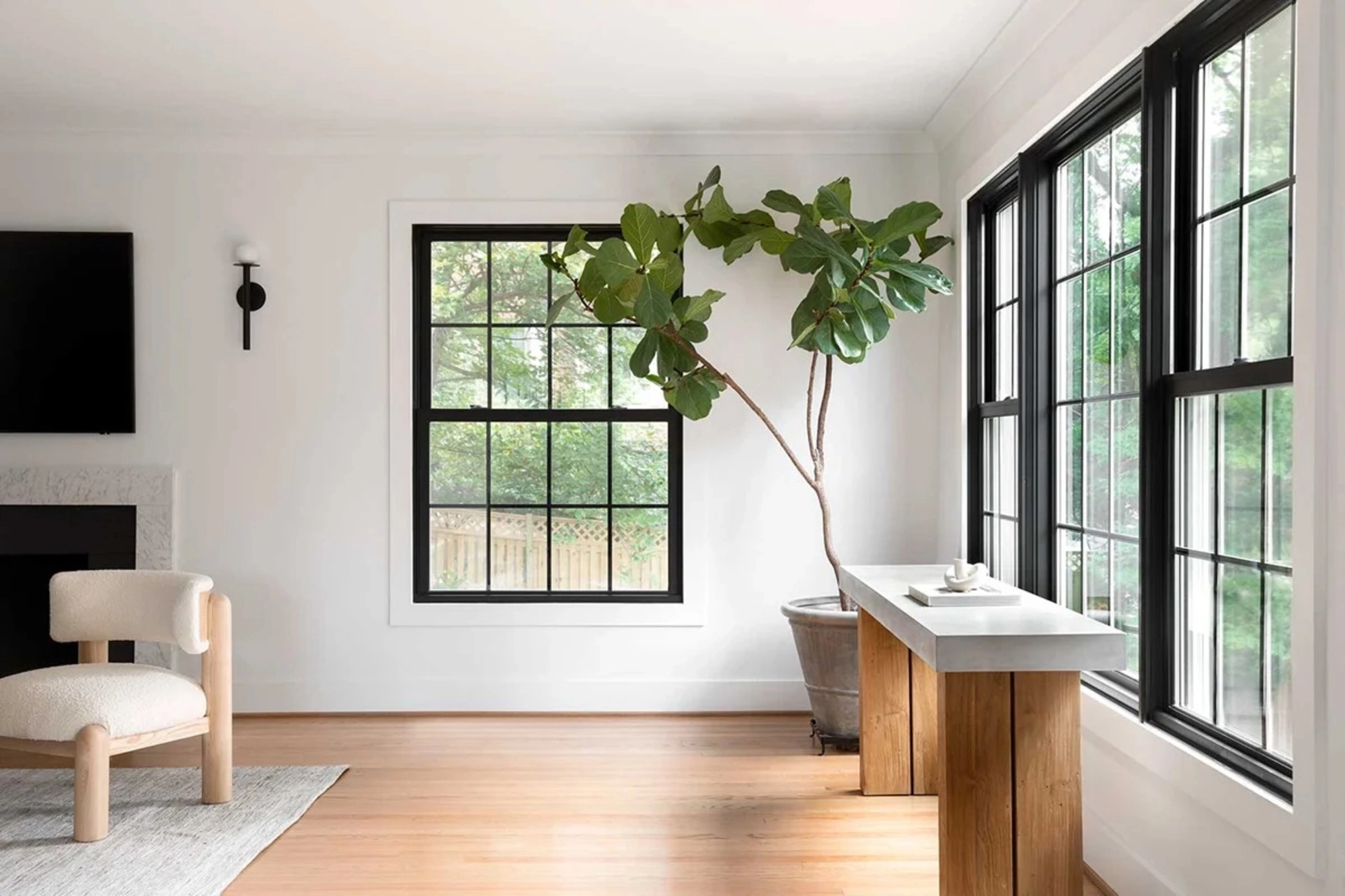 Modern black-framed double-hung windows allowing natural light into a bright living room with wood floors and minimalist décor — a perfect example of how to prevent condensation on windows through